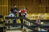 1441IMG_1784