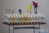 1208IMG_8895