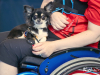 12-15img_5191
