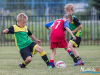 1240img_9707