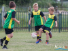 1241img_9721