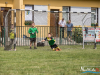 1251img_9763
