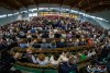 1708IMG_1345