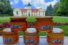 293756662_116474647785274_1694354223760749242_n_wynik