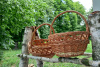 305142445_132111636221575_3621405709806339750_n_wynik