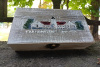 306529604_128502116597569_6812895856885553011_n_wynik