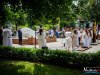 IMG_0754