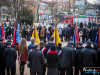 1230img_4192_11_11_2016