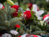 1305img_4398_11_11_2016