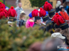1109img_1217