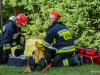 71047155_997119850625124_2362328177117757440_o_wynik