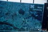 1256IMG_6552