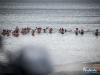 1206img_4489
