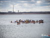 1208img_4516