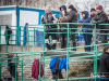 1209img_4521
