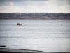 1226img_4612