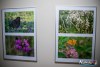 1729IMG_0246