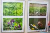 1729IMG_0247
