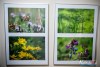 1729IMG_0250