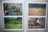 1733IMG_0253