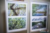1733IMG_0257