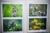 1739IMG_0261