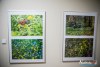 1739IMG_0263