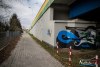 1515IMG_4339
