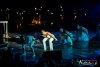 2233IMG_9988