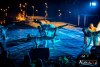 2233IMG_9991