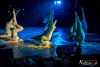2308IMG_0252