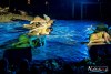 2309IMG_0257