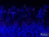 2149img_0697