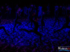 2149img_0706