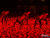 2158img_0774