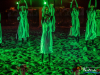 2211img_0822