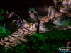 2211img_0823