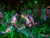 2217img_0868