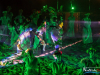 2217img_0870