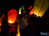 2224img_0921