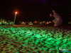 2231img_0982