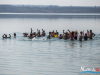 1111img_6237
