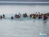 1111img_6239