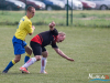1623img_8122_08_23_2015