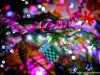 wigilia_0143