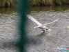 1820img_1789
