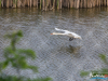 1839img_1804