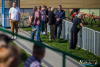 1538IMG_9465_wynik
