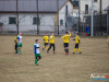 1238img_6272