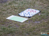1324img_6304